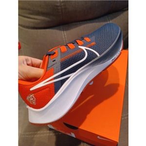 Nike Pegasus 38 (NFL Chicago Bears) Unisex